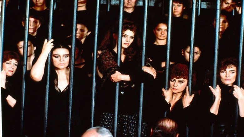Un complicato intrigo di donne, vicoli e delitti線上电影看完整版
