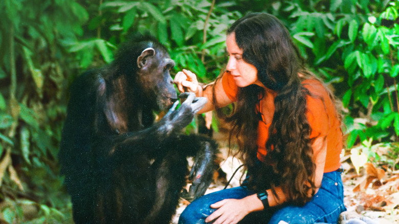 Lucy the Human Chimp backdrop 2