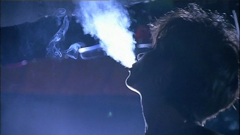 The Blackout backdrop 4
