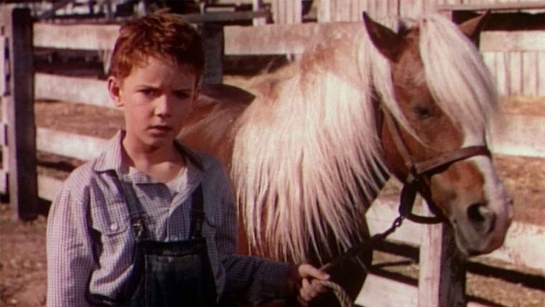 The Red Pony backdrop 7