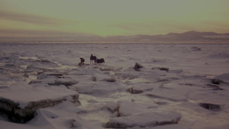 Kamouraska backdrop 3