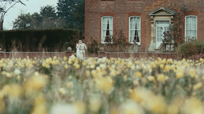 Bright Star backdrop 8