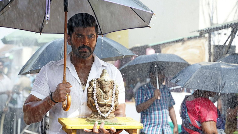 Yaanai backdrop 2