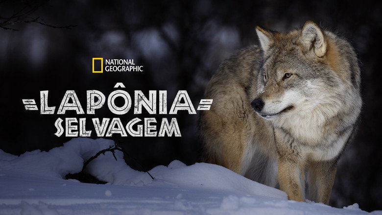 Wild Lapland backdrop 5