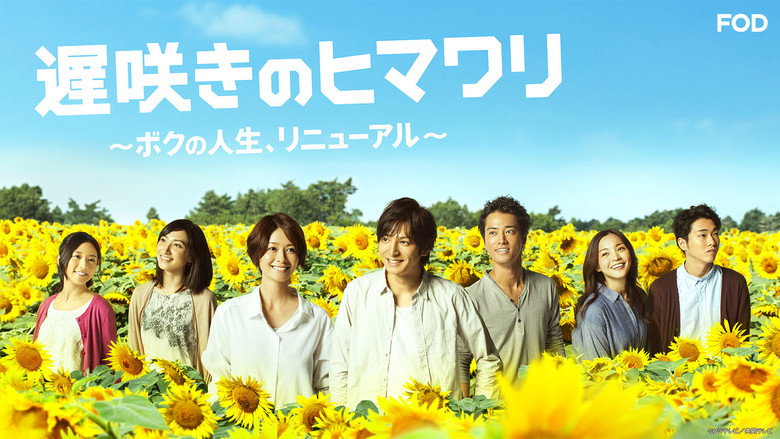 Late Blooming Sunflower My Life Renewed backdrop 4