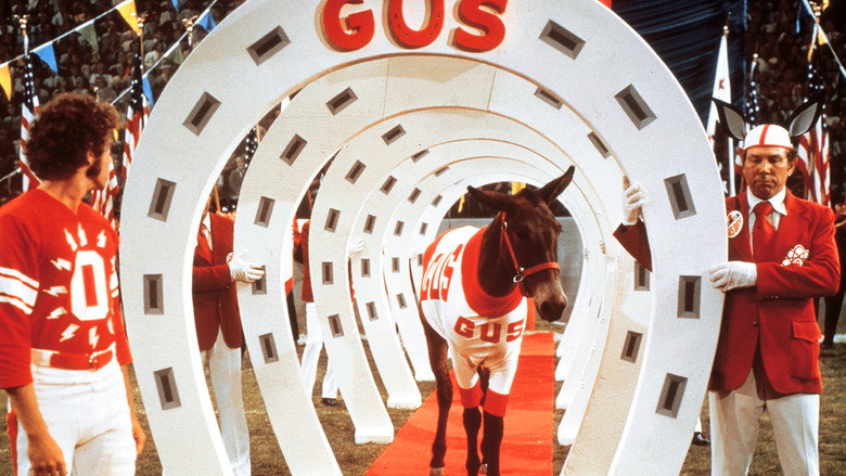 Gus backdrop 6