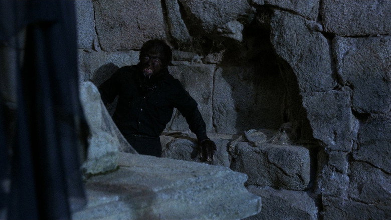 The Werewolf Versus the Vampire Woman backdrop 9