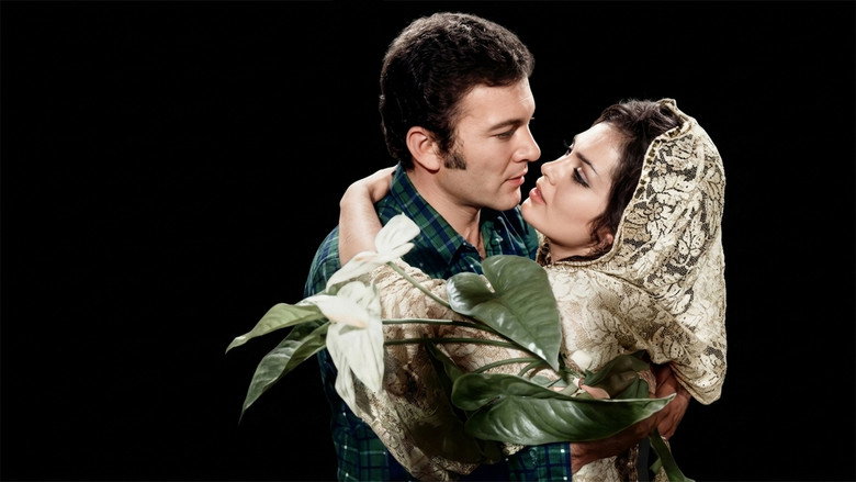 Gelin Çiçeği backdrop 1