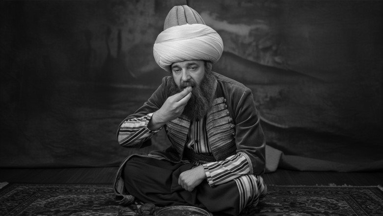 Nasreddin Hodja at the Wedding Feast backdrop 2