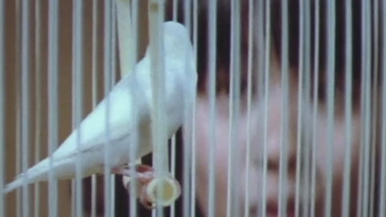 Women Prison: Vigilante Justice backdrop 4