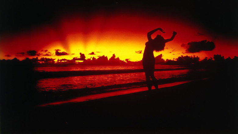 Castaway backdrop 6