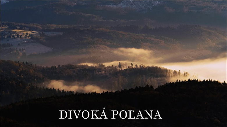 Divoká Poľana: Poľanský jeleň