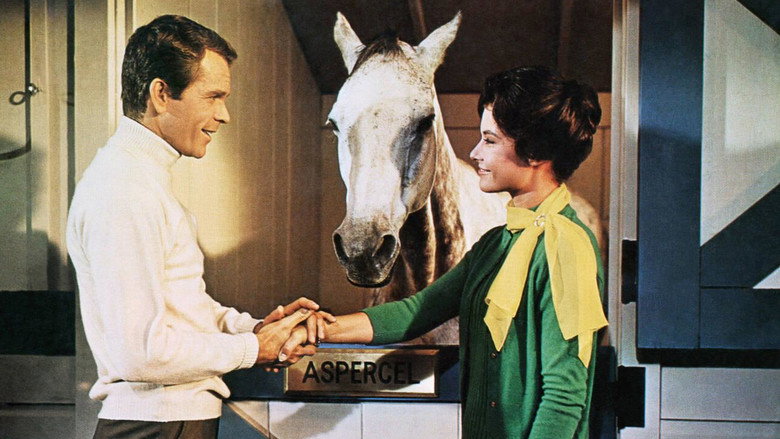The Horse in the Gray Flannel Suit backdrop 2