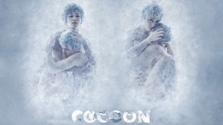 COCOON Hoshi Hitotsu