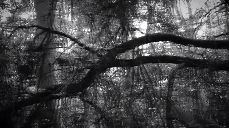 In My Mind backdrop 5