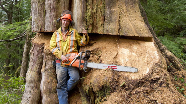 The Last Woodsmen backdrop 3