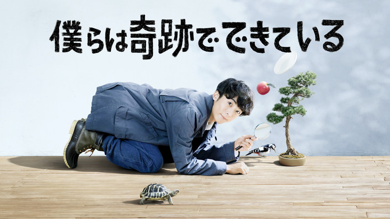 Miracles backdrop 3