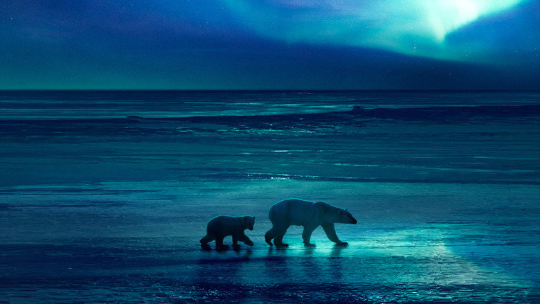 Frozen Planet II backdrop 6