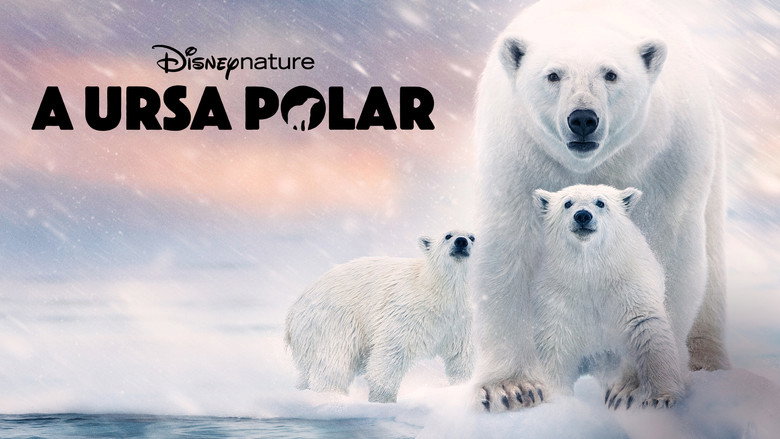 Polar Bear backdrop 7