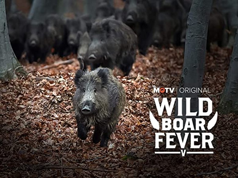 Wild Boar Fever 5