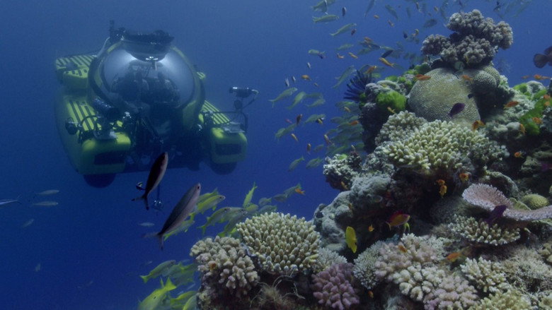 Great Barrier Reef with David Attenborough backdrop 4