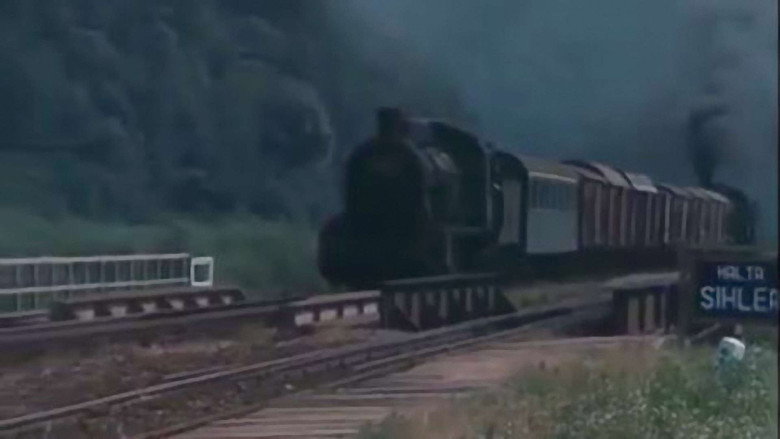 Train of Gold backdrop 3