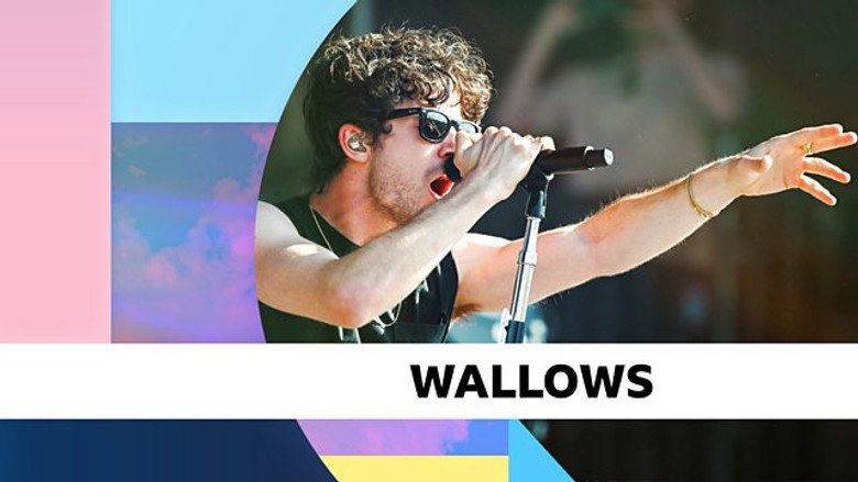 Wallows