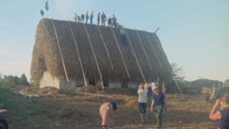Fårö Document 1979 backdrop 6
