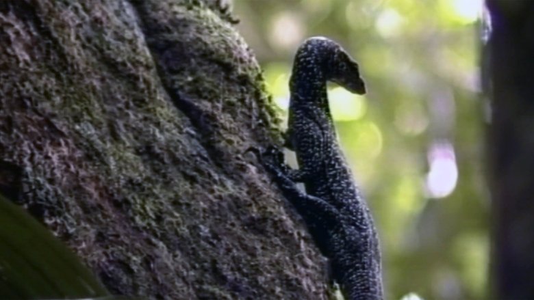 Since the Company Came