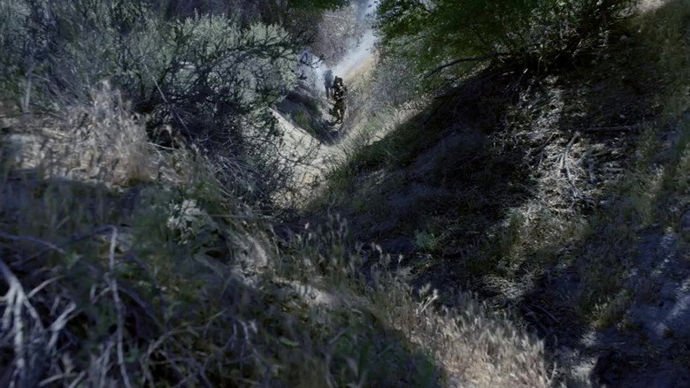 Alien Predator backdrop 2