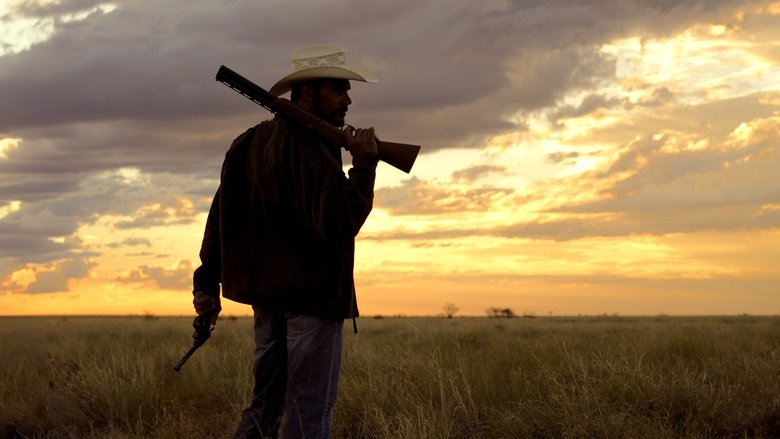 Mystery Road Collection