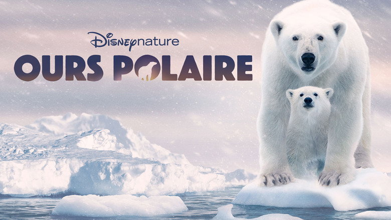 Polar Bear backdrop 2