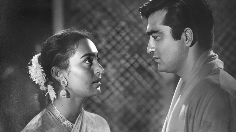 Sujata backdrop 4