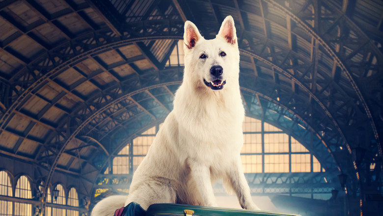 Lampo, the Travelling Dog backdrop 6