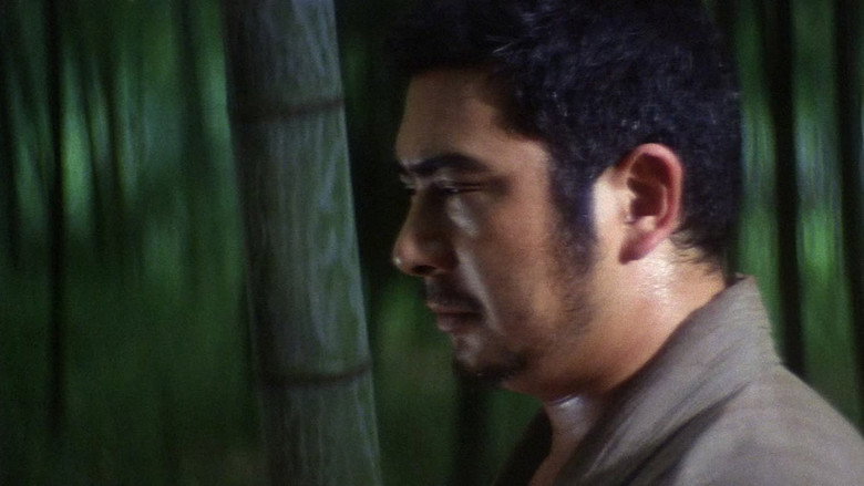 Zatoichi and the Fugitives backdrop 5