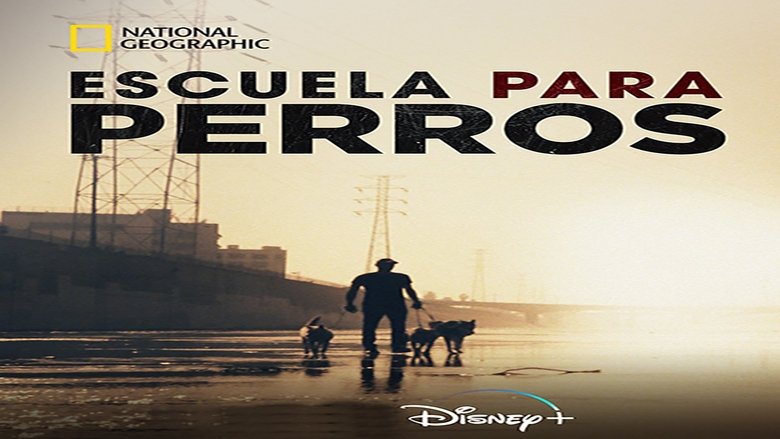 Escuela para perros