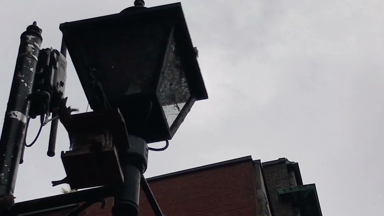 A gray day