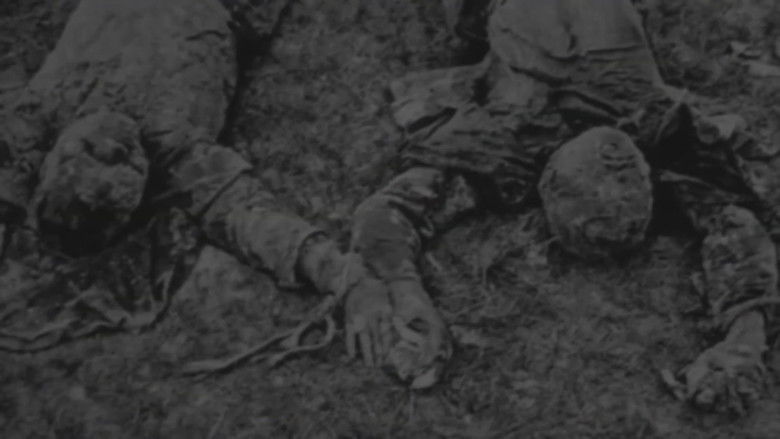 Who Really Started World War Two