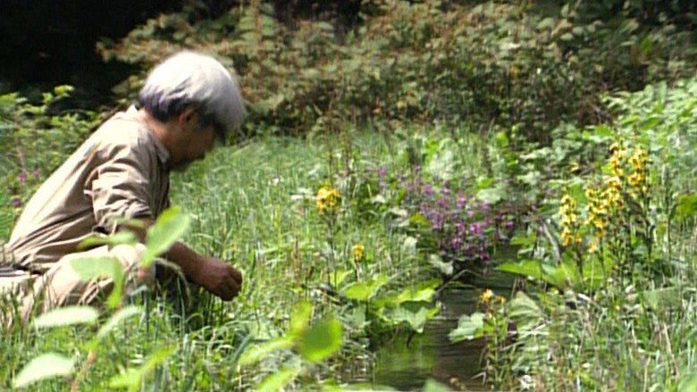 Miyazaki, Spirit of Nature backdrop 7