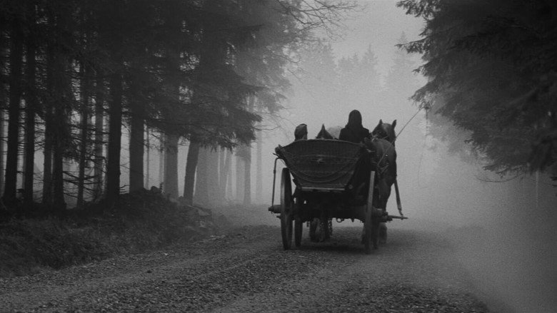 Carriage to Vienna backdrop 3