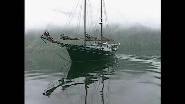 The Graveyard Coast