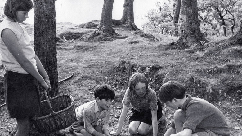 Swallows and Amazons backdrop 5