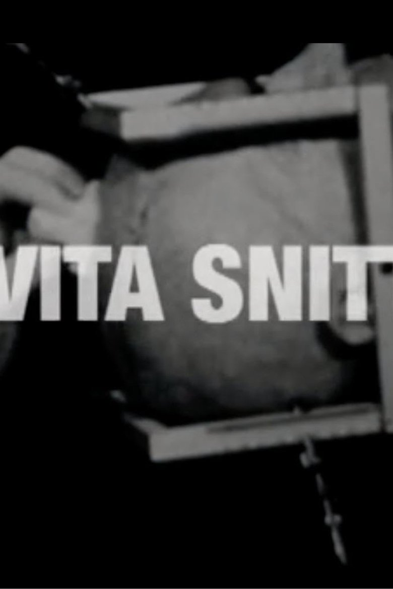 Det Vita Snittet