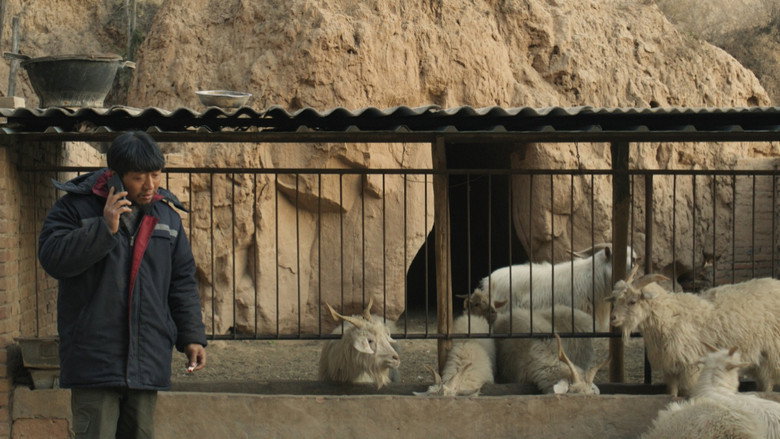 Three Castrated Goats backdrop 2