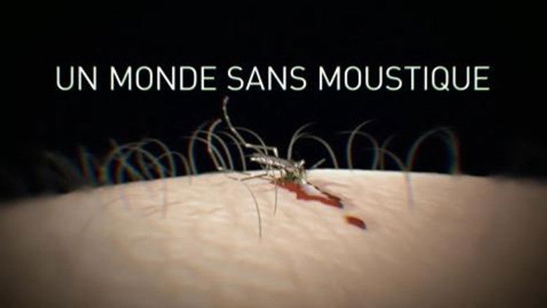 A world without... mosquitoes