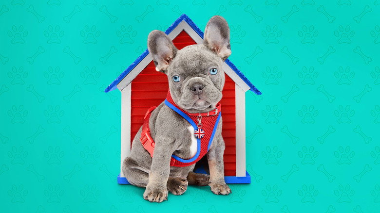 The Dog House backdrop 3