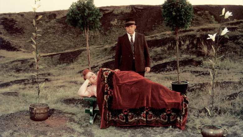 Angelus backdrop 3