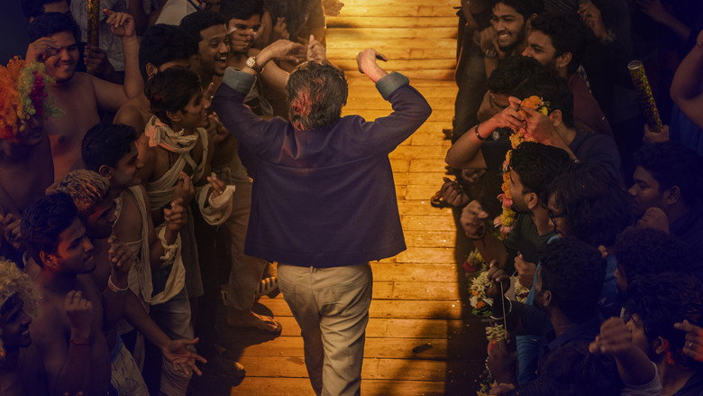 Petta backdrop 8
