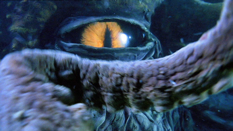 Octopus 2: River of Fear backdrop 2