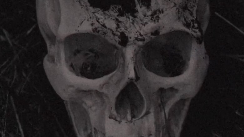 The Volition Of A Bygone Priest